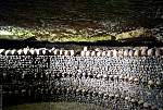 P1000370 dem bones_catacombes.jpg